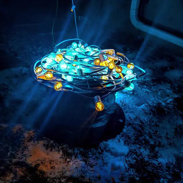 Close-up of teal and amber Christmas light bulbs